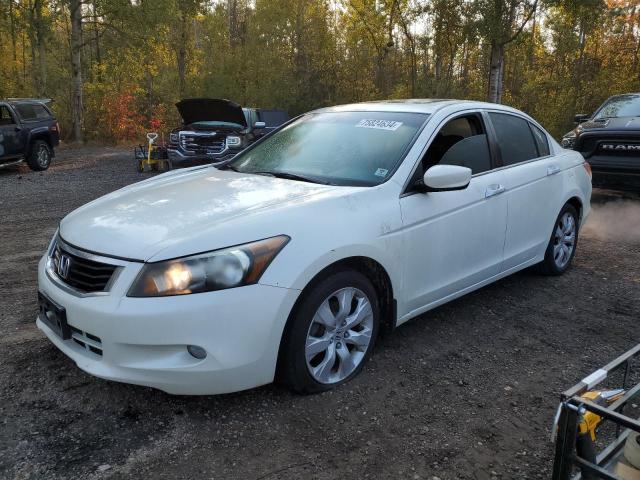 honda accord exl 2009 1hgcp36879a802318