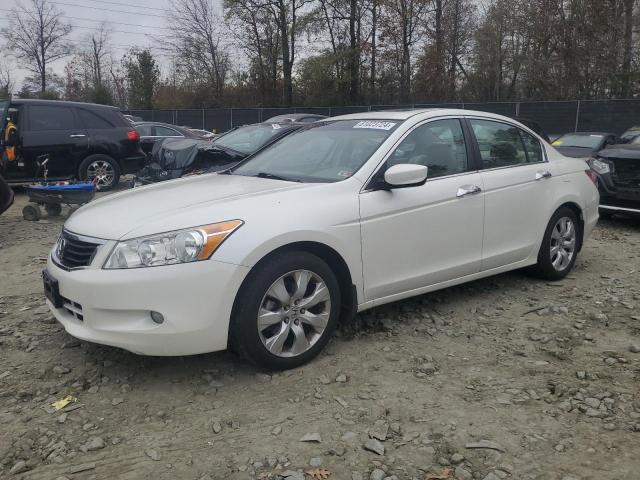 honda accord exl 2008 1hgcp36888a020155