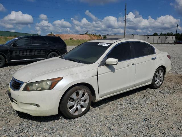 honda accord exl 2008 1hgcp36888a032631