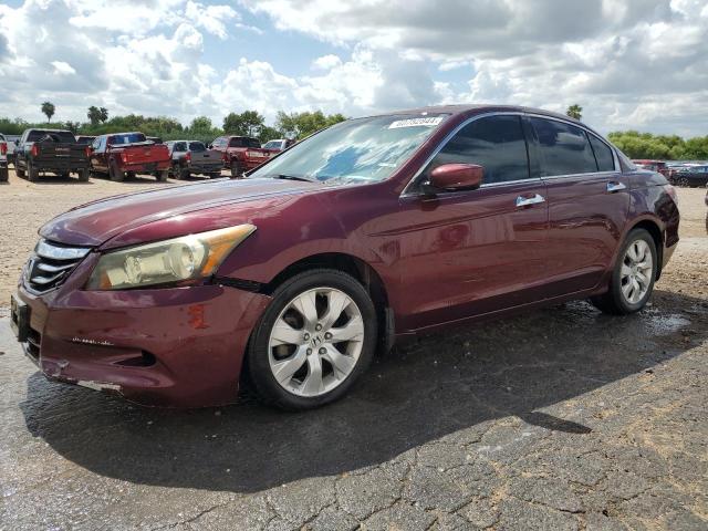 honda accord 2009 1hgcp36899a012647