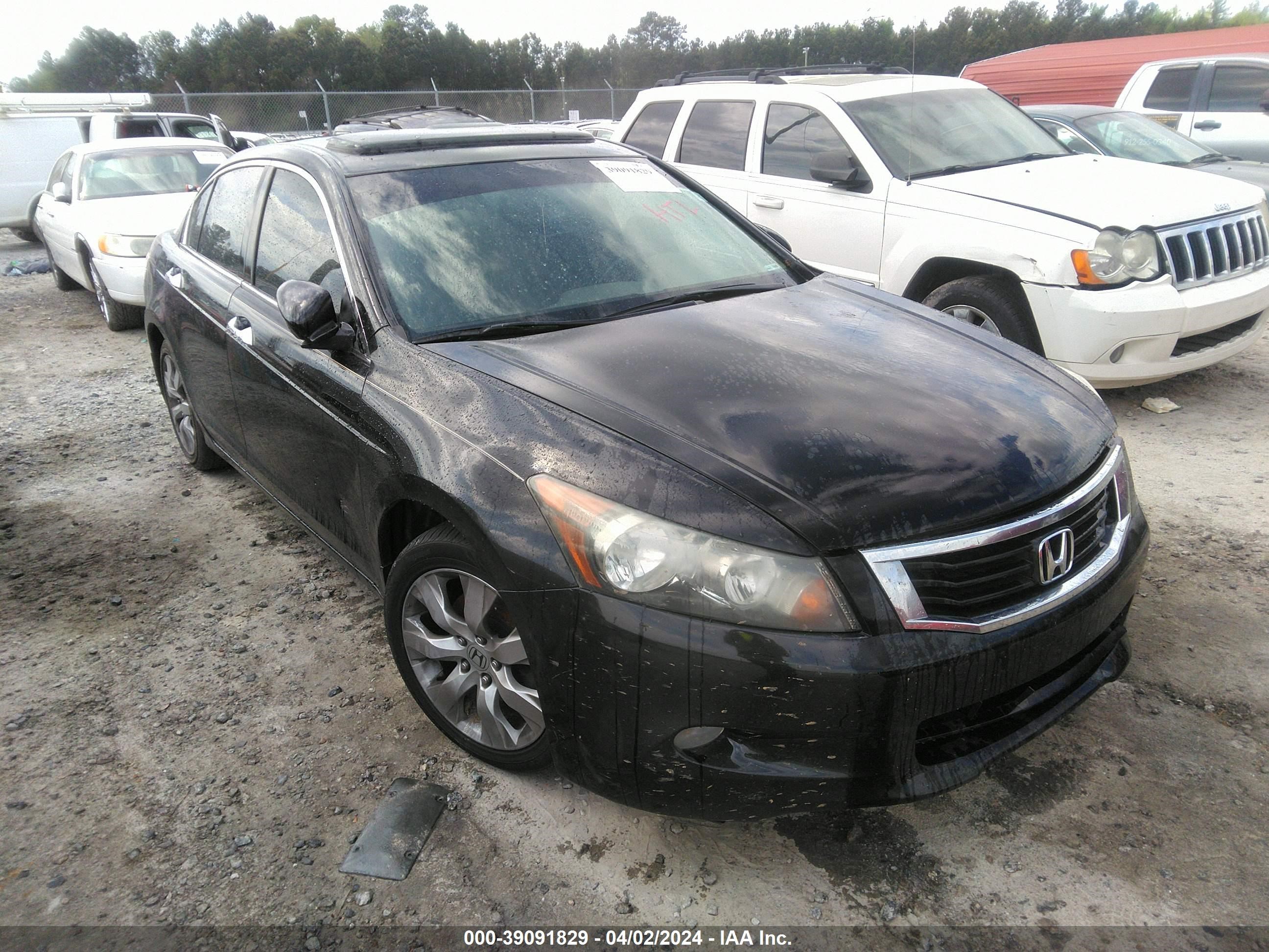 honda accord 2009 1hgcp36899a020005