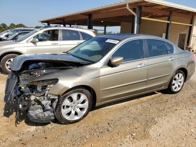 honda accord 2009 1hgcp36899a023857