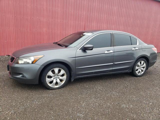 honda accord exl 2009 1hgcp36899a800327