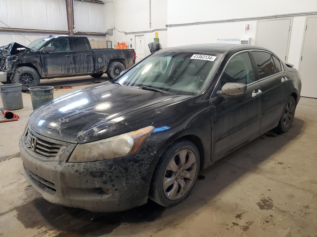 honda accord 2009 1hgcp36899a800795