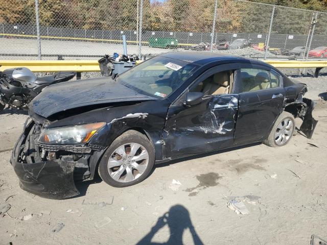 honda accord exl 2008 1hgcp368x8a006967