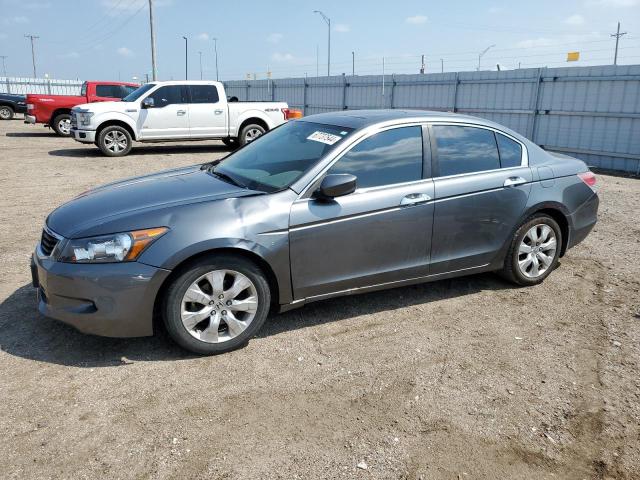 honda accord exl 2008 1hgcp368x8a085931