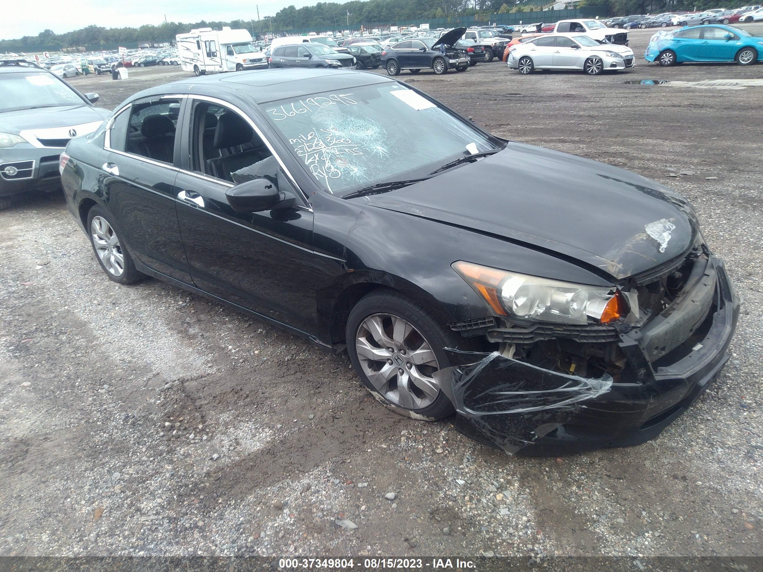 honda accord 2009 1hgcp368x9a046533