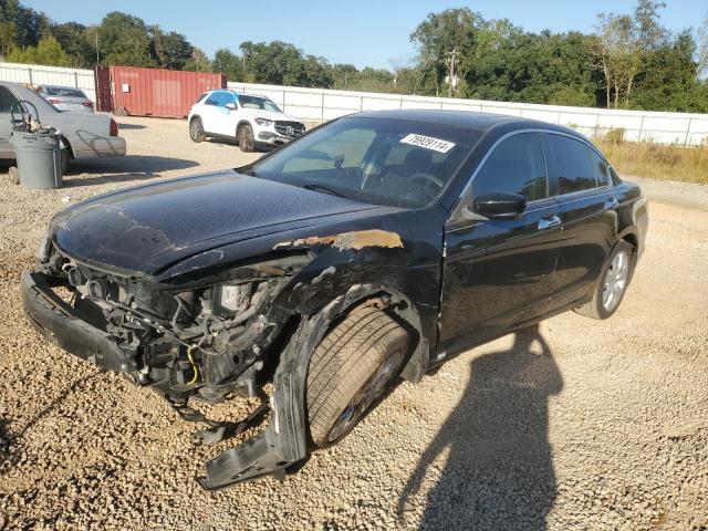 honda accord ex 2010 1hgcp3f72aa010783