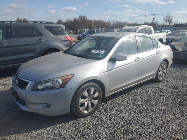 honda accord exl 2010 1hgcp3f80aa014856