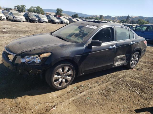 honda accord exl 2010 1hgcp3f80aa019944