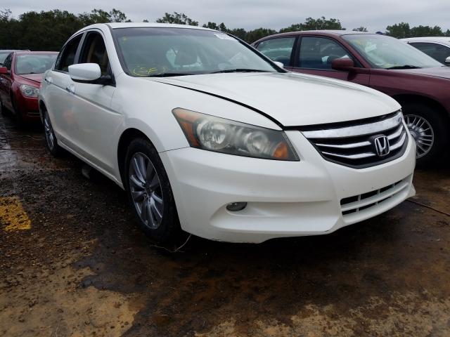 honda accord exl 2011 1hgcp3f80ba005026