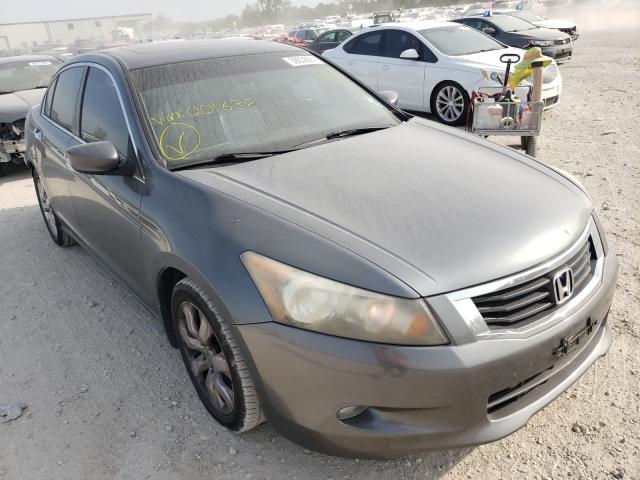 honda accord exl 2010 1hgcp3f81aa001632