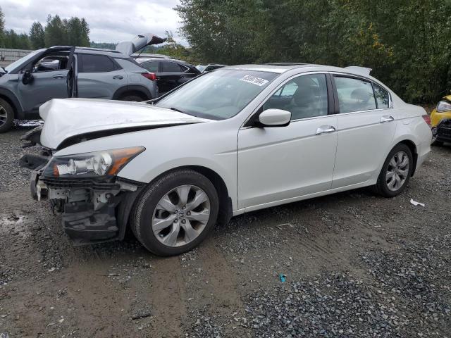 honda accord 2010 1hgcp3f81aa024084