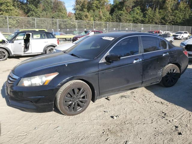 honda accord 2011 1hgcp3f81ba019131