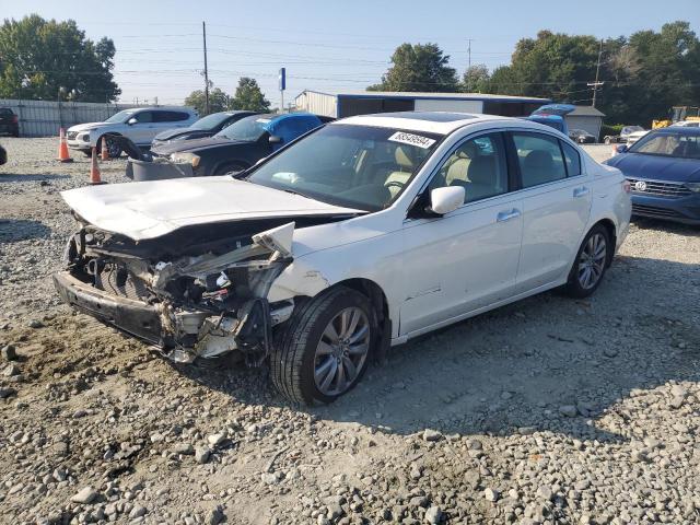 honda accord exl 2011 1hgcp3f81ba030811