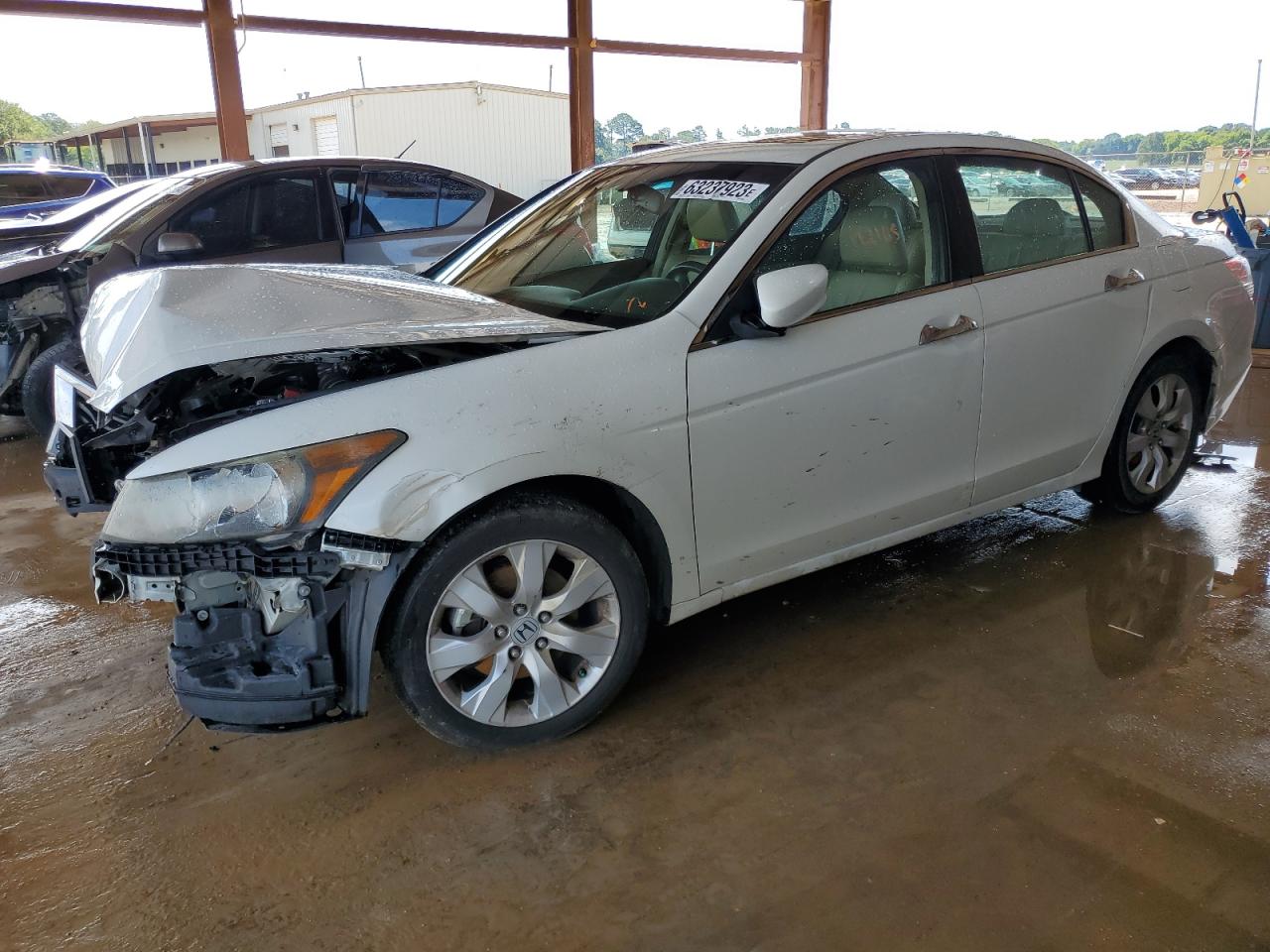 honda accord 2010 1hgcp3f82aa005088