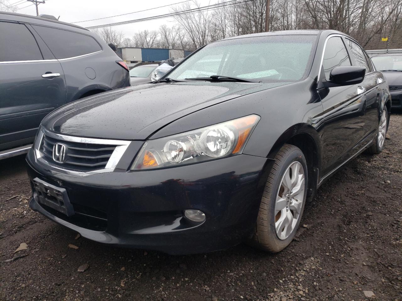 honda accord 2010 1hgcp3f82aa010095