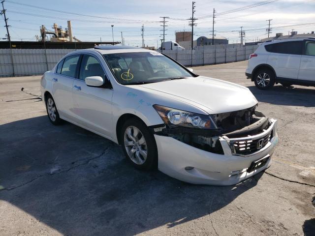 honda accord exl 2010 1hgcp3f82aa018956