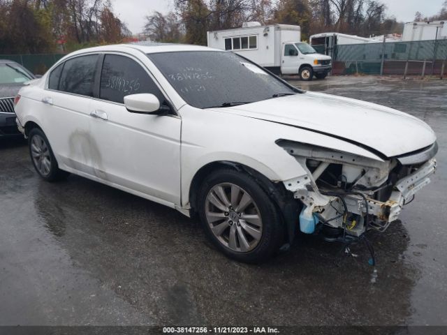 honda accord sdn 2011 1hgcp3f82ba030445