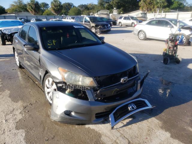 honda accord exl 2010 1hgcp3f83aa009733