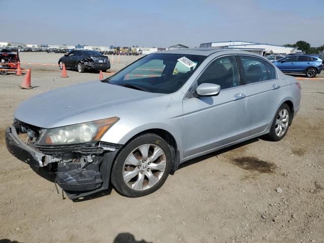 honda accord exl 2010 1hgcp3f83aa028511