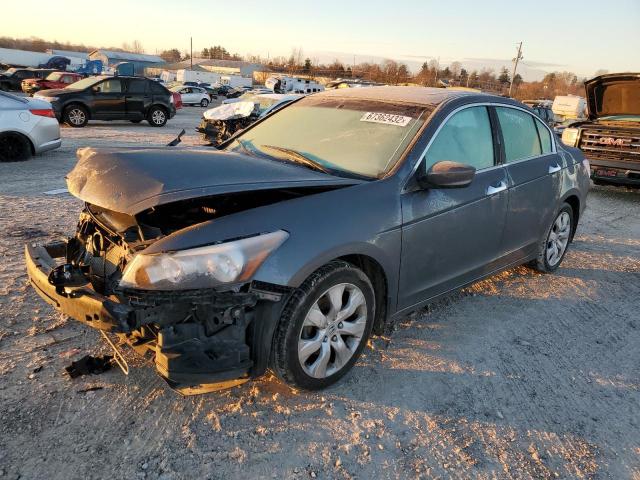 honda accord exl 2010 1hgcp3f83aa032073