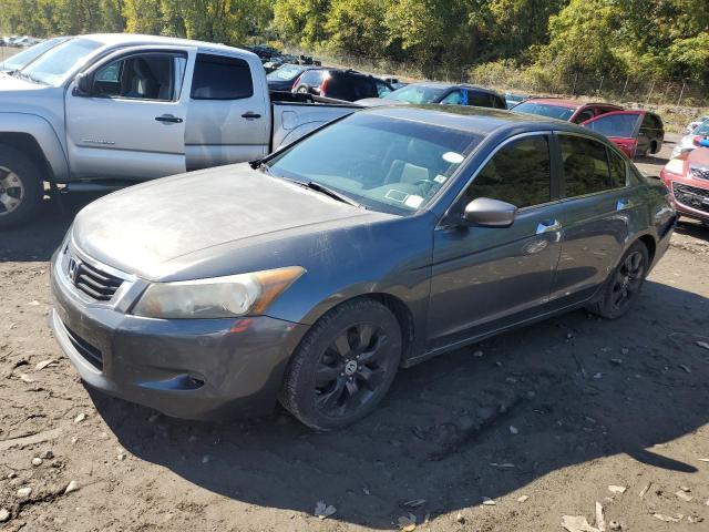 honda accord exl 2010 1hgcp3f84aa005920