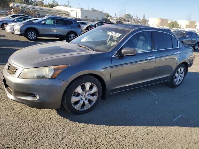 honda accord exl 2010 1hgcp3f84aa024371