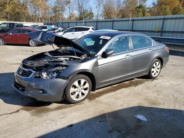 honda accord exl 2010 1hgcp3f84aa031787