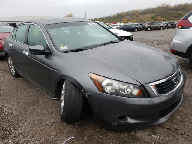 honda accord exl 2010 1hgcp3f85aa013654