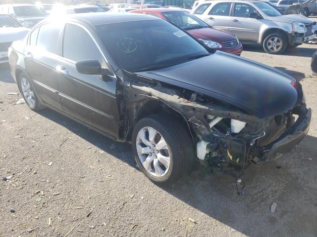 honda accord exl 2010 1hgcp3f85aa017591