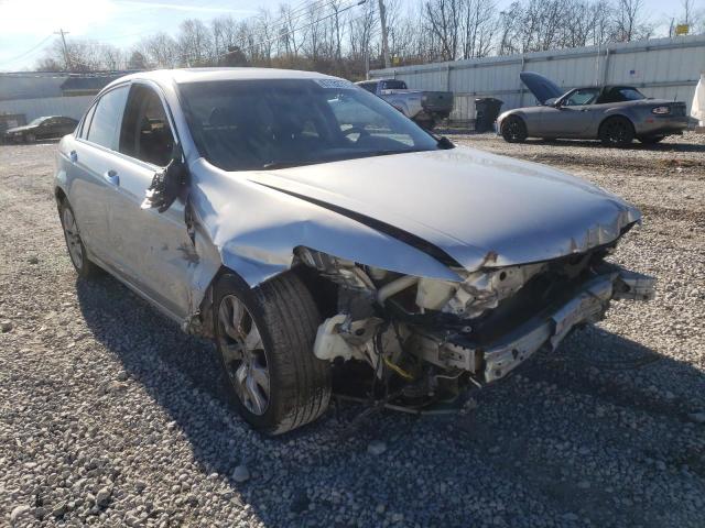 honda accord exl 2010 1hgcp3f85aa018207