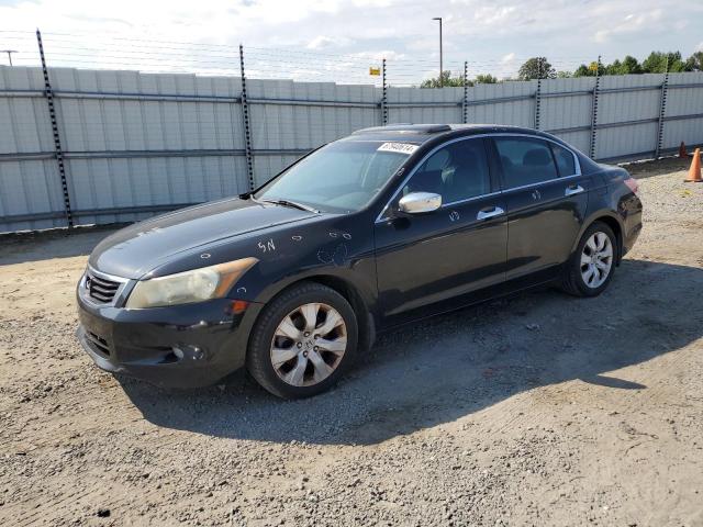 honda accord exl 2010 1hgcp3f85aa019163