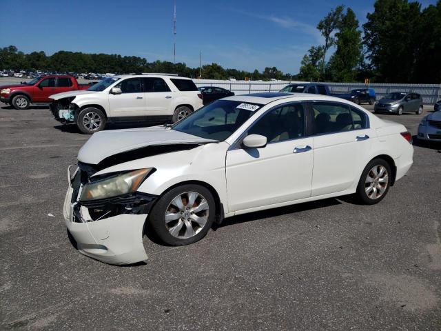 honda accord exl 2010 1hgcp3f85aa020393