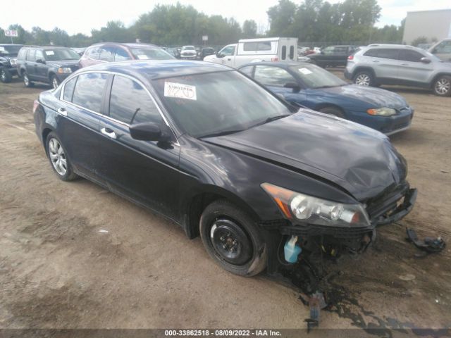 honda accord 2010 1hgcp3f85aa031023