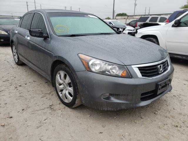 honda accord exl 2010 1hgcp3f86aa006972