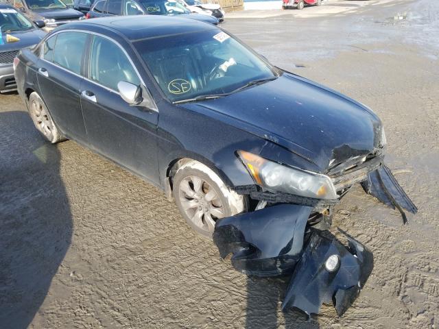 honda accord exl 2010 1hgcp3f86aa012982