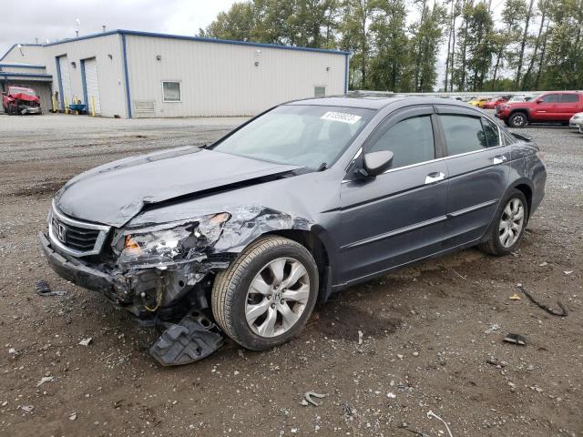 honda accord exl 2010 1hgcp3f86aa021780