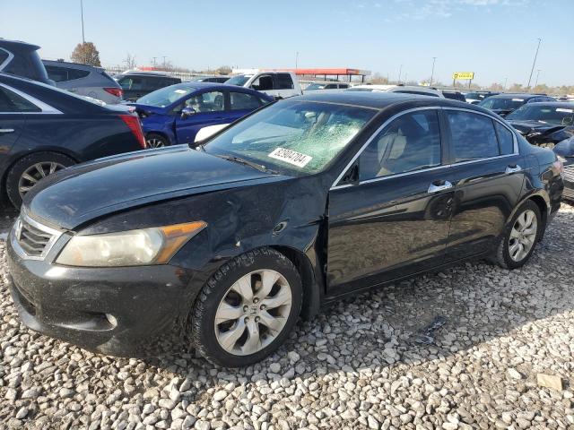 honda accord exl 2010 1hgcp3f86aa024498