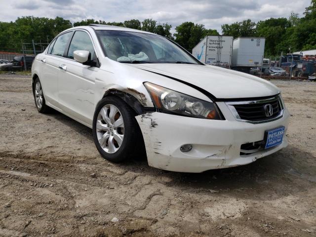 honda accord exl 2010 1hgcp3f86aa029331