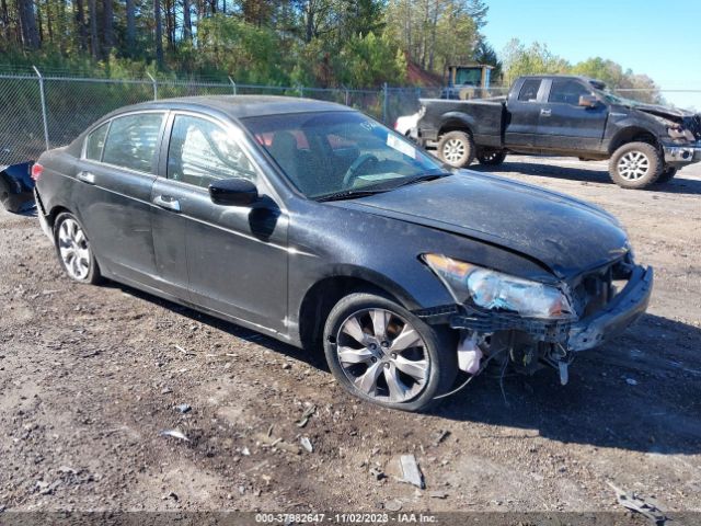 honda accord 2010 1hgcp3f86aa029491