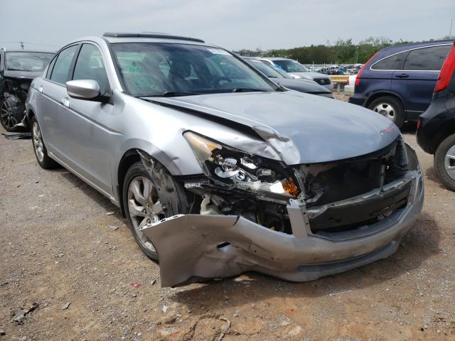 honda accord exl 2010 1hgcp3f87aa000131