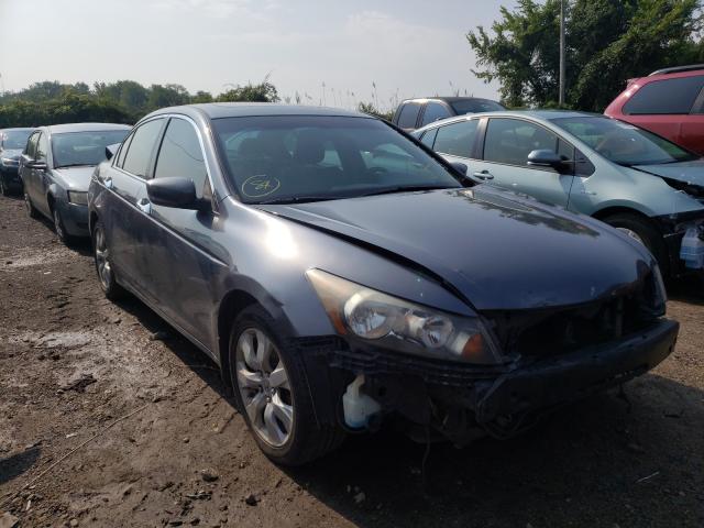 honda accord exl 2010 1hgcp3f87aa018841