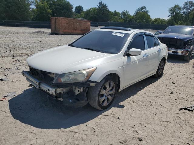 honda accord 2010 1hgcp3f87aa021996