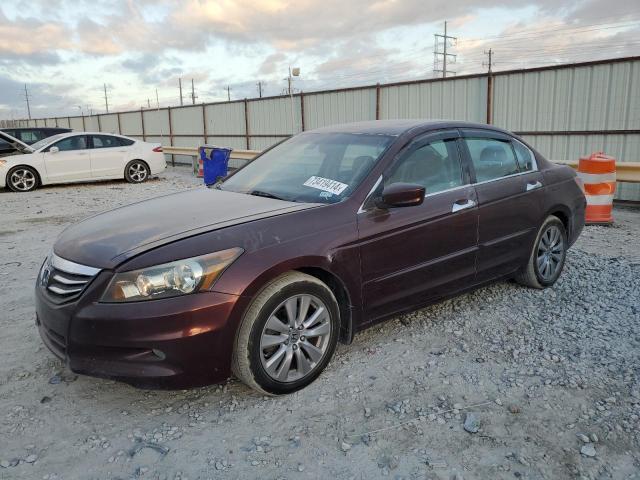 honda accord exl 2011 1hgcp3f87ba000020