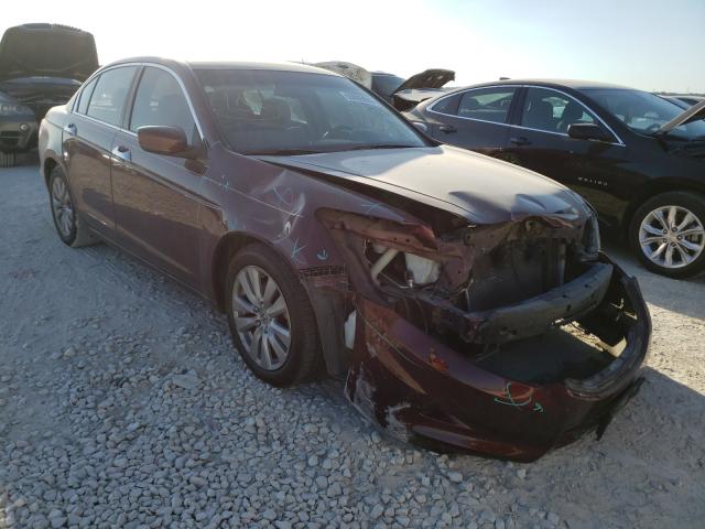 honda accord exl 2011 1hgcp3f87ba028660