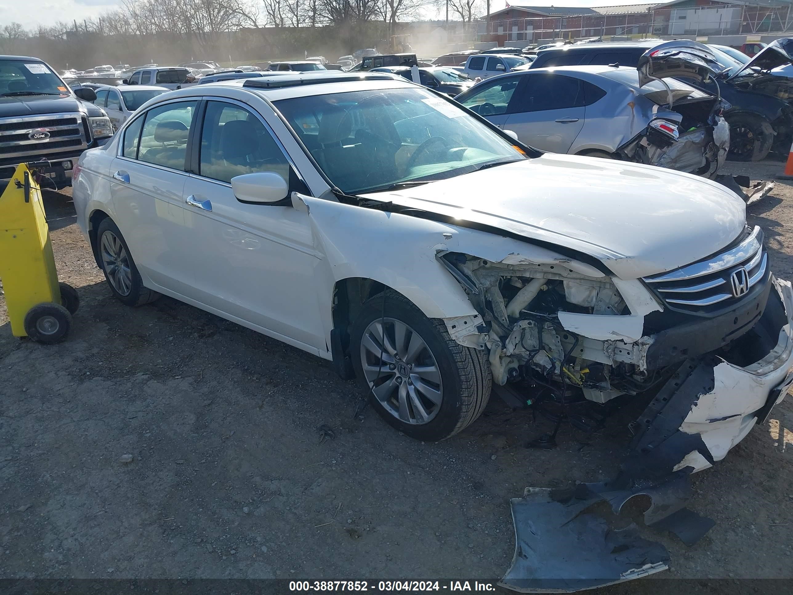 honda accord 2011 1hgcp3f87ba029176