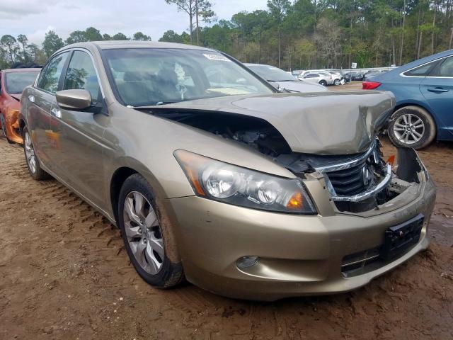 honda accord exl 2010 1hgcp3f88aa005371