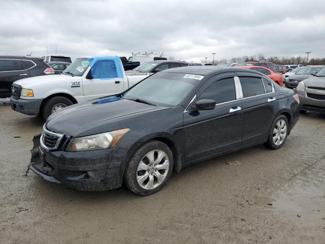 honda accord 2010 1hgcp3f88aa005600