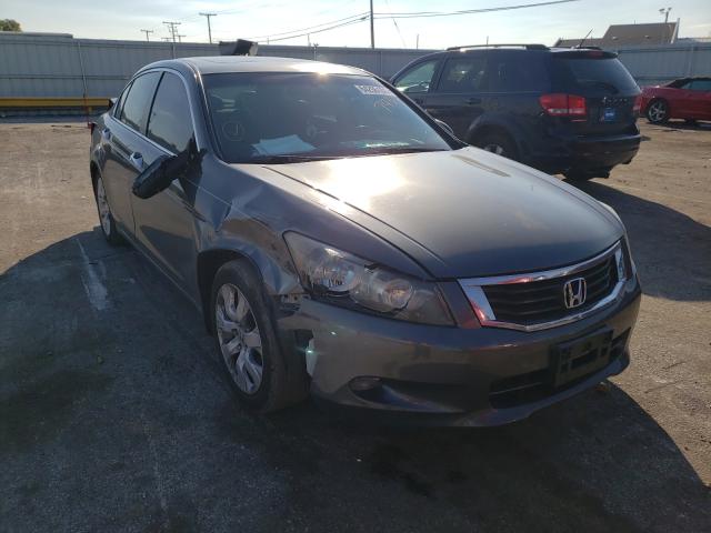 honda accord exl 2010 1hgcp3f88aa017438